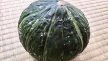 夏野菜 料理を1から