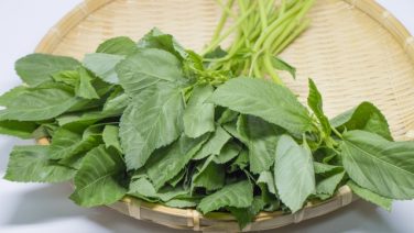 夏野菜 料理を1から