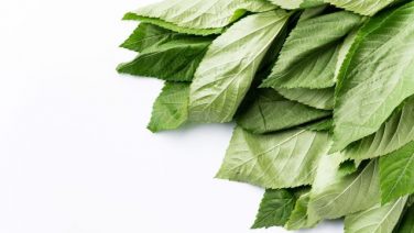 夏野菜 料理を1から