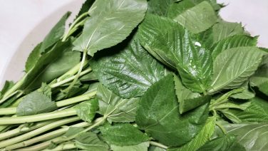 夏野菜 料理を1から