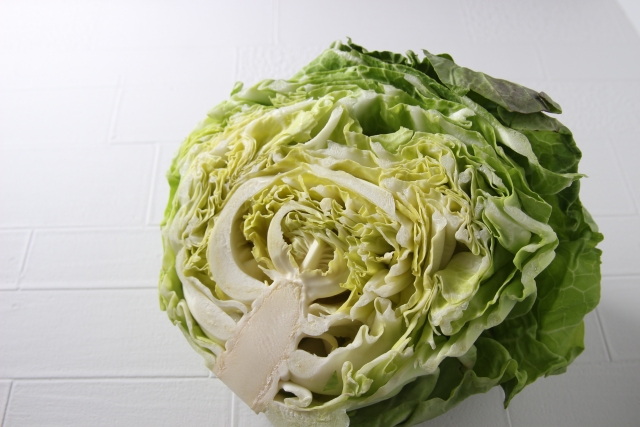半切りキャベツ