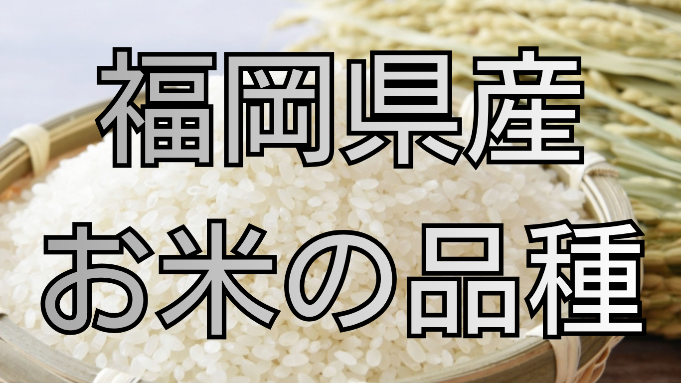 福岡県のお米の品種