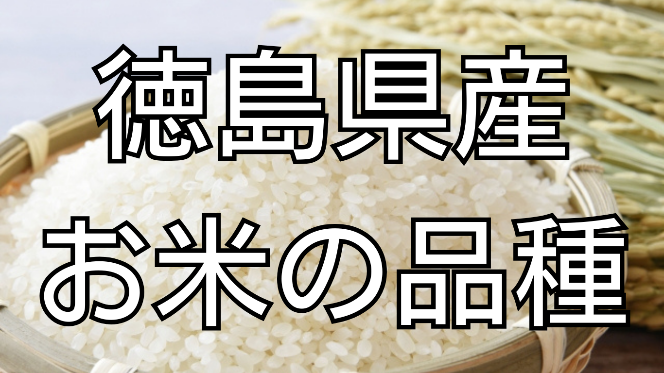 徳島県産お米の品種