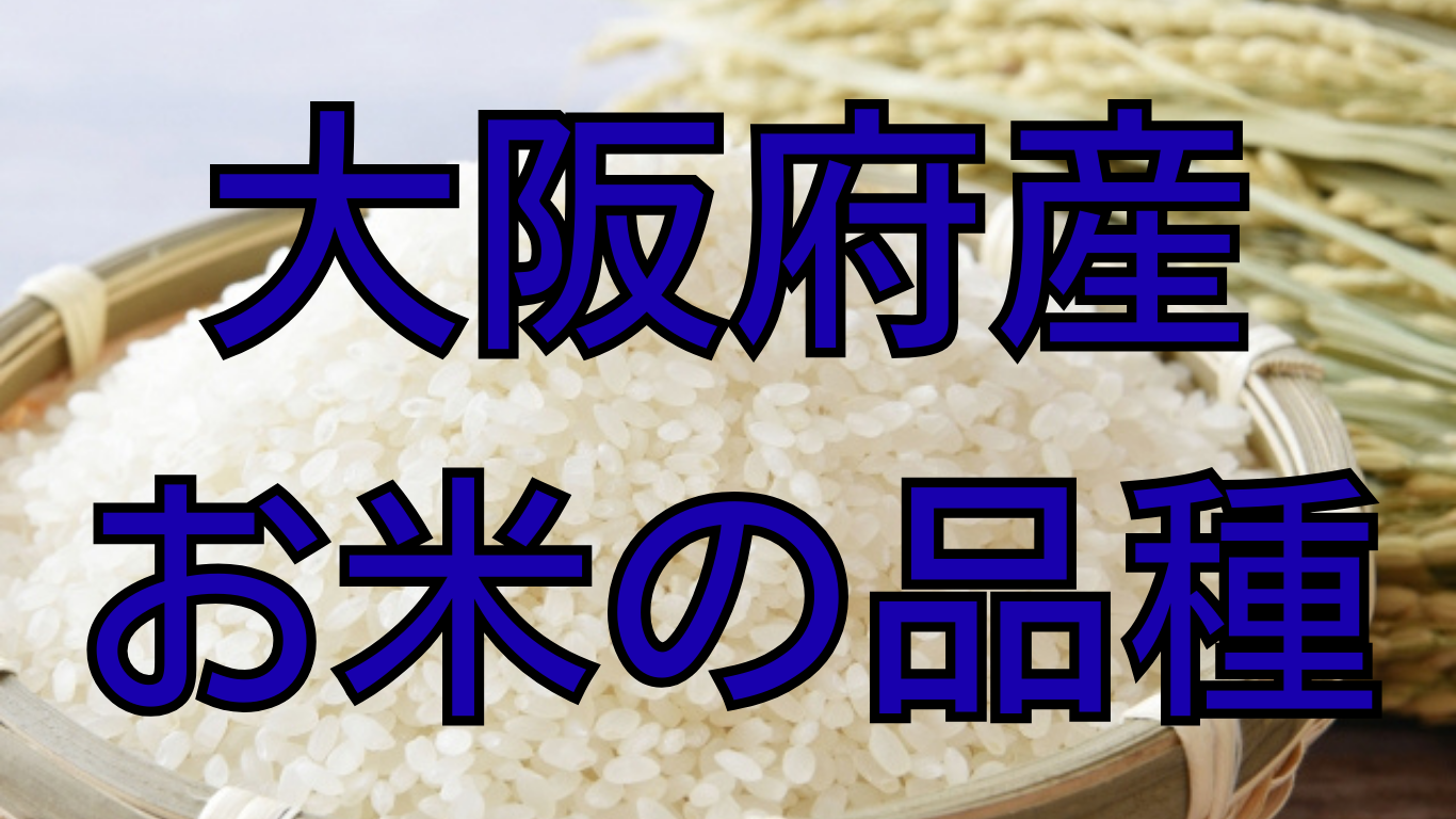 大阪府のお米の品種