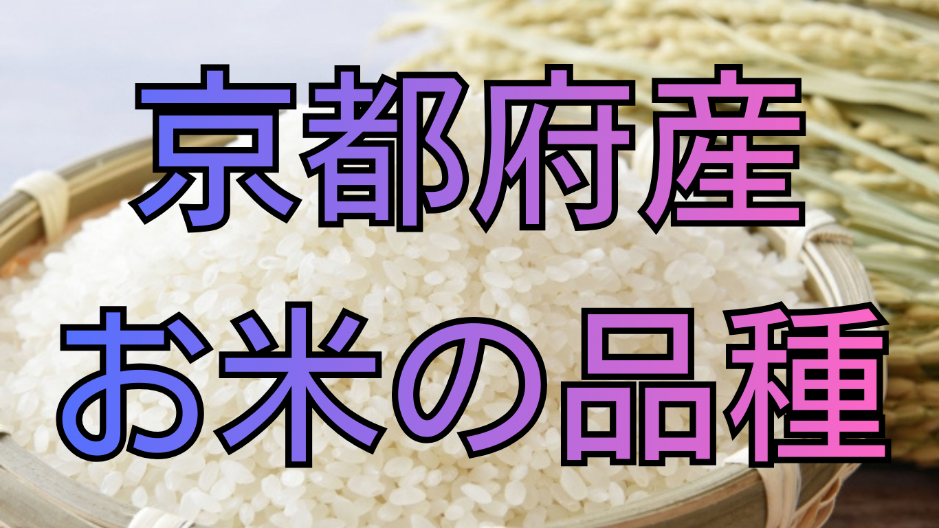 京都府のお米の品種