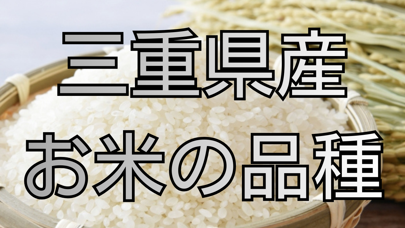 三重県のお米の品種