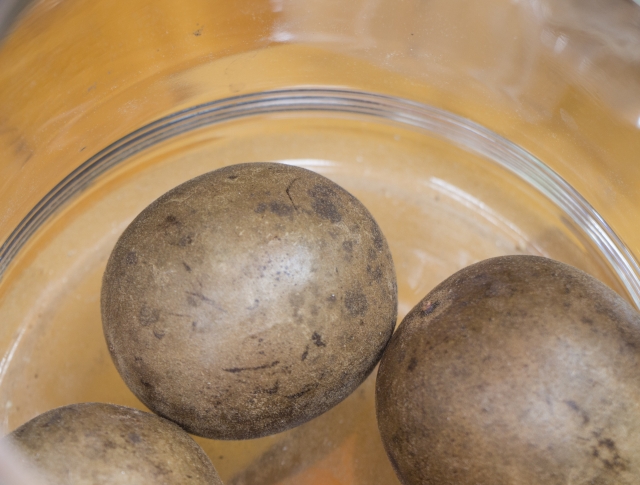 ラカンカ　羅漢果