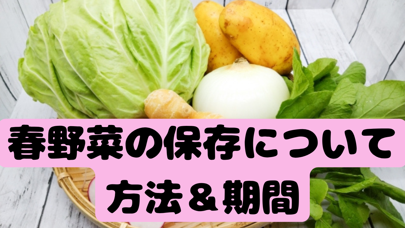 春野菜の保存について　方法＆期間
