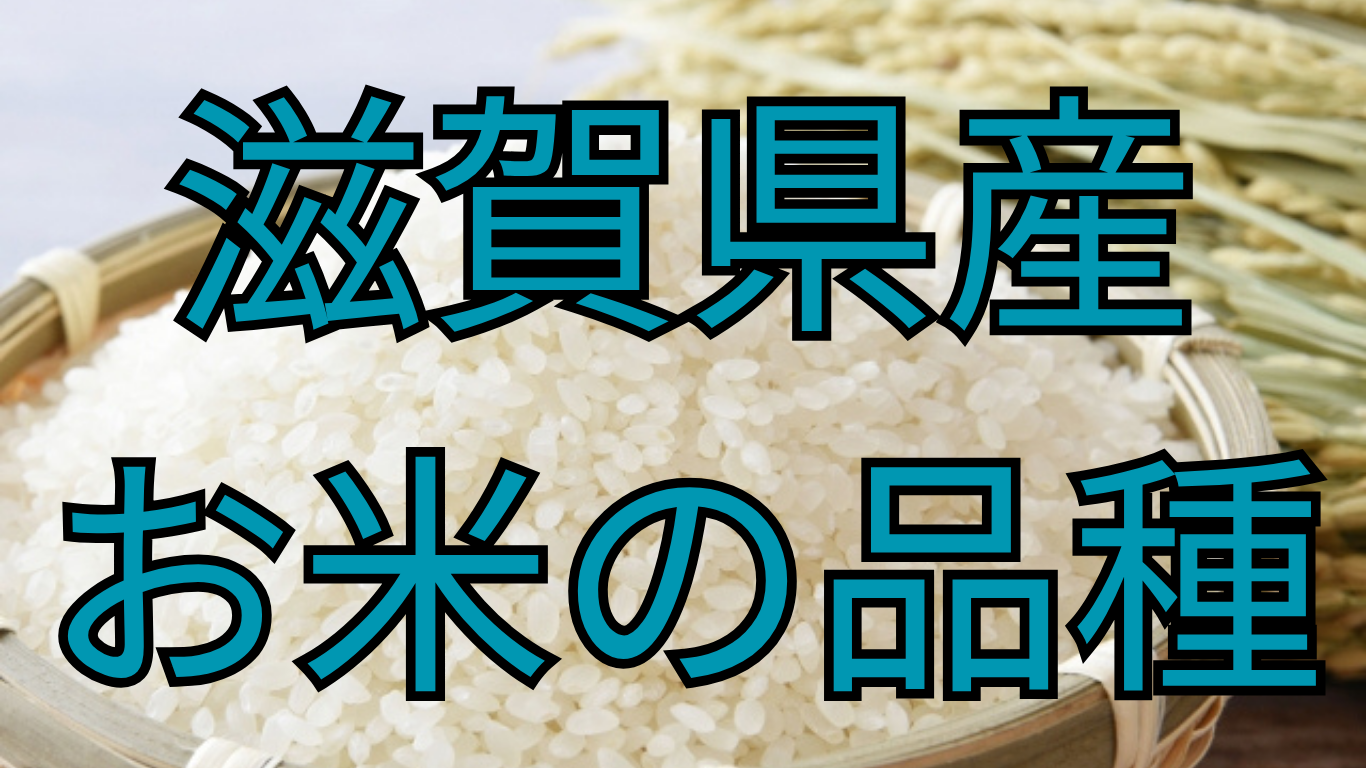 滋賀県産お米の品種