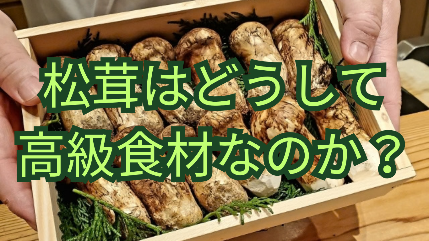 松茸はどうして高級食材なのか？